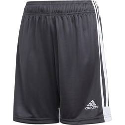 Adidas Tastigo 19 Short Jr - Grijs