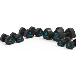 Livepro Studio Dumbbell Set 2x8kg