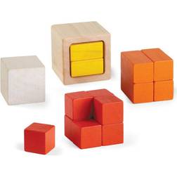 Plantoys Cubes