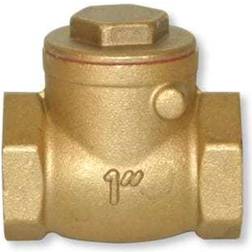 PETTINAROLI Klapkontraventil mf/mf 2"