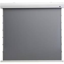 Celexon Dynamic Slate ALR HomeCinema Screen Tension (16: 9 135")