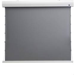 Celexon Dynamic Slate ALR HomeCinema Screen Tension (16: 9 120")