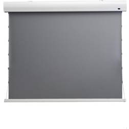 Celexon Dynamic Slate ALR HomeCinema Screen Tension (16: 9 80")