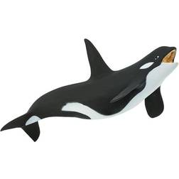 Safari Killer Whale 275129