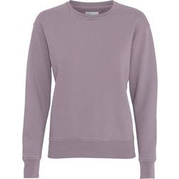 Colorful Standard Men's Classic Organic Crew Sweat - Purple Haze