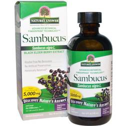 Nature's Answer Sambucus, Schwarzer Holunder Berry Extrakt, 4 fl oz (120 ml)