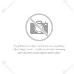 Schneider Electric Schneider Electric Diode zener LA4KC1B 12-24V DC