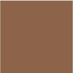 Vallejo Mud Brown