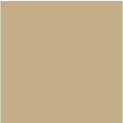 Wittmax AV Vallejo Model Air 17ml Sand (Ivory) (VAL075)