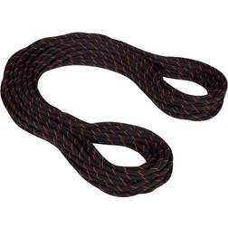 Mammut Gym Workhorse Dry Rope 9.9mm 30m