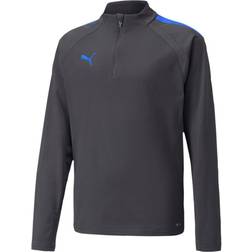 Puma teamLIGA Quarter-Zip Sweatshirt Kids - Grey/Blue