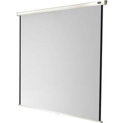 Celexon Economy Manual Screen Ecran de projection montable au plafond, montable sur mur 122" (311 cm) 1:1