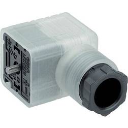 Belden Cable socket gdml 2011 led 24 nf