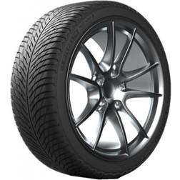 Michelin PILOT ALPIN 5 Vinter 165657