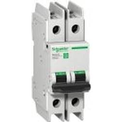Schneider Electric Automatsik C60BP 2P C 10A 480Y/277 UL489