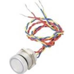 Apem PBARZAFB000G2A Piezo pushbutton 24 V DC/AC 0.2 A 1 x Off/(On) IP69K momentary 1 pc(s)