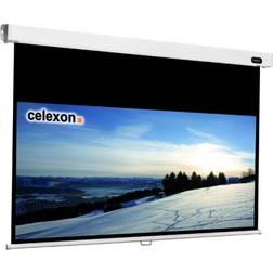 Celexon Professional (16:9 72" Manual)