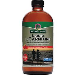 Nature's Answer Liquid L-Carnitine Natural Raspberry 16 fl oz