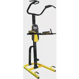 Everlast Pull Up trainer