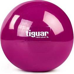 Tiguar Heavy Ball 1kg exercise ball Violet univ (TI-PHB010)