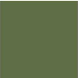 Vallejo Olive Green *