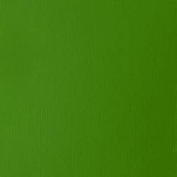 Liquitex Basics Acrylics Colors light green permanent 4 oz. tube