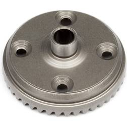 Wittmax 43T Spiral Diff. Gear