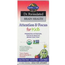 Garden of Life Dr. Formulated Brain Health Organic Attention/Focus Kids 60ct Chewables