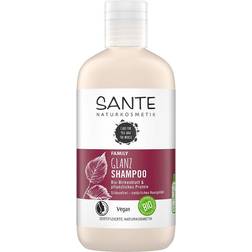 SANTE Family Glanz Shampoo birch leaf eko - Santé 250ml