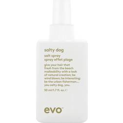 Evo Salty Dog Salt Spray