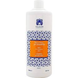Valquer Schampo Bassic B5-vitamin 1000ml