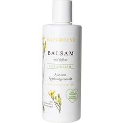 Rapsodine Balsam Äppelvinäger 250ml