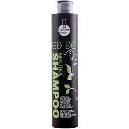 Moisturizing Shampoo Cuidado Diario Alexandre Cosmetics 250ml