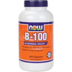 Now Foods B-100 250 Vegetarian Capsules