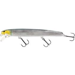Westin Jätte 23cm