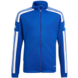 Adidas Squadra 21 Training - Bleu