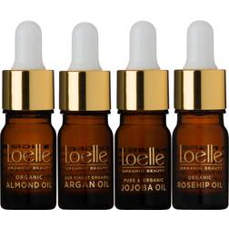 Loelle Gift Box Oil Family