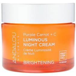 Andalou Naturals Andalou Purple Carrot & C Luminous Night Cream 50ml