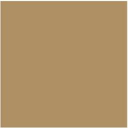 Vallejo AV Model Air 17ml Light Brown (VAL027)