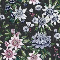 Holden Amazonia Passiflora Black Wallpaper 91324