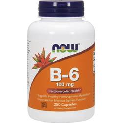 Now Foods Vitamin B-6, 100mg 250 caps