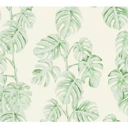 Living Walls Greenery