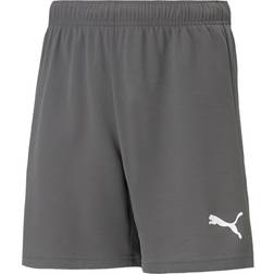 Puma teamRISE Short Men - Gray/White