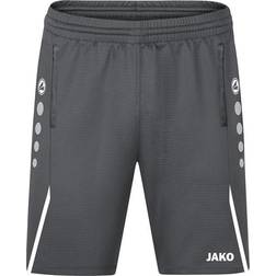 JAKO Challenge Training Shorts - Anthra Light/White