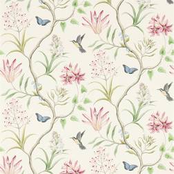 Sanderson Clementine Chintz