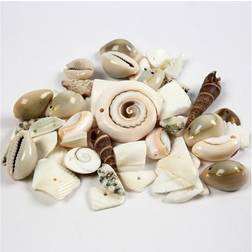 Creativ Company Beach Shells, size 9-40 mm, hole size 1-1,5 mm, 120 g/ 1 pack