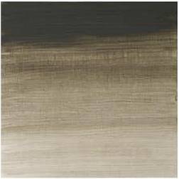Winsor & Newton Winsor Newton Artists Oil Col 200ML DAVY'S GRAY 217