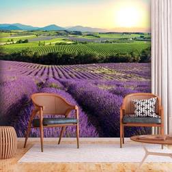 Arkiio Fototapet Lavender Field 100x70