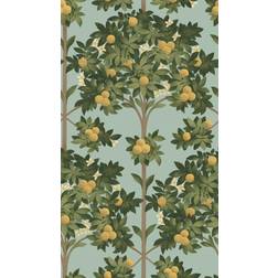 Cole & Son Orange Blossom Wallpaper Seville Collection Lemon & Dark Olive Green on Duck Egg Roll