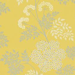 Sanderson Cowparsley Chinese Yellow - DOPWCO105